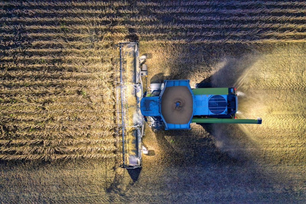 Drone shot of a combine harvester in a Minnesota cornfield during harvest season.